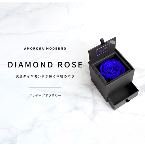 AMOROSA MODERNO ダイヤモンドローズボックス90 ドゥロワータイプ エクセレントブルー[upel0005]