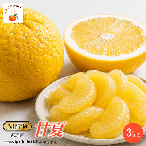 [先行予約]家庭用 甘夏3kg ※2027年3月中旬より順次発送予定 IK
