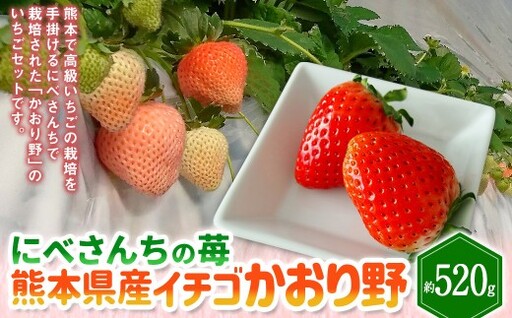 にべさんちの苺 熊本県産イチゴかおり野 約520g【2026年12月上旬発送開始】 苺 いちご フルーツ 果物 熊本