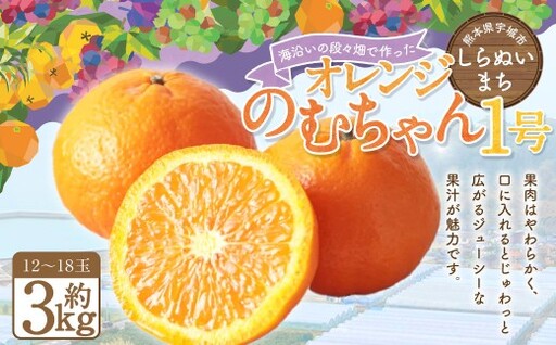 [2027年3月上旬発送開始]熊本県宇城市不知火町の海沿いの段々畑で作った「オレンジ(のむちゃん1号) 」約3kg(12-18玉) フルーツ 果物 みかん 九州 熊本産 蜜柑