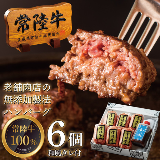 常陸牛ハンバーグ 100g 6個  無添加 手造り和風タレ リピーター続出！ 手捏ねハンバーグ  肉のイイジマ(DU-188)