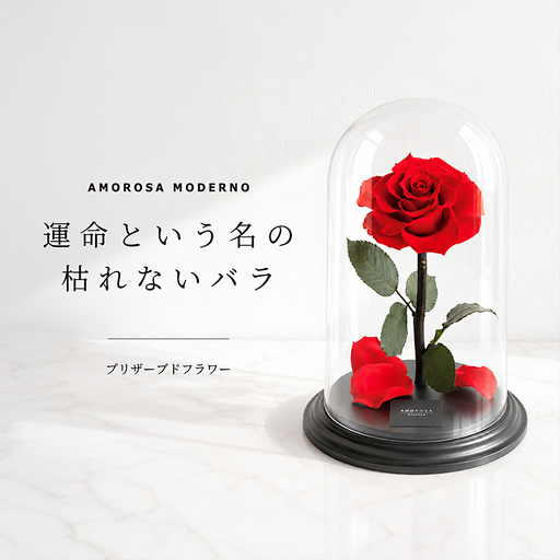 AMOROSA MODERNO デスティニーローズ(1本立ち) ブライトレッド [upel0008]