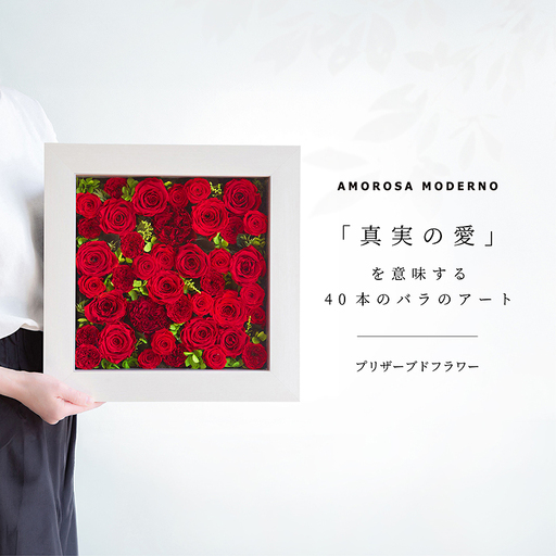 AMOROSA MODERNO パナッシュ(W37-H37) / レッド40本[upel0011]