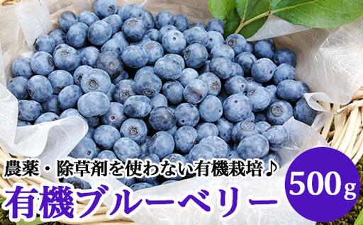 有機ブルーベリー500g【傳九郎農園】