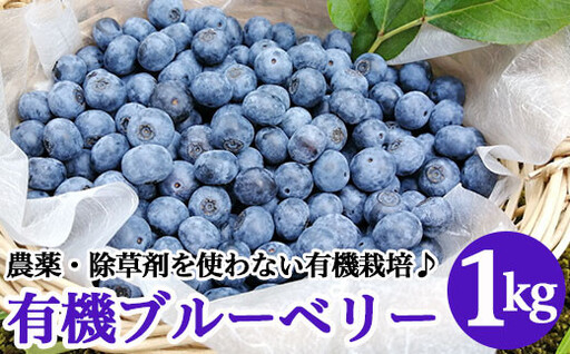 有機ブルーベリー1kg【傳九郎農園】