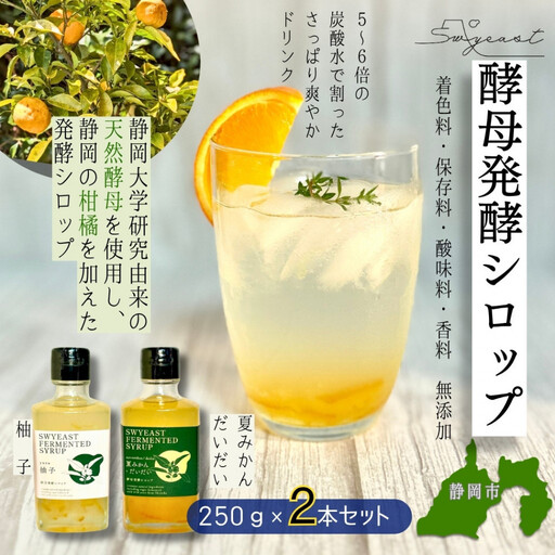 大学研究の天然酵母使用 お酒でもジュースでもない新感覚発酵シロップ　250ｇｘ2本