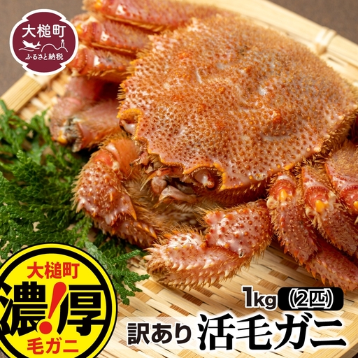 [令和9年発送先行予約][訳あり]三陸産!活毛ガニ 1kg(2杯)[08][2027年2月〜4月発送]