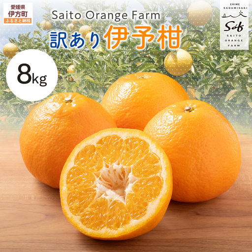 【先行予約】Saito Orange Farm　お徳・訳あり用　伊予柑8kg ｜ 柑橘 みかん ミカン フルーツ 果物 伊予柑　宮内伊予柑　 愛媛　　※2027年1月上旬頃より順次発送予定 IKTAQ038