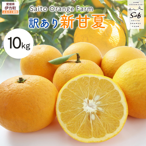 【先行予約】Saito Orange Farm　お徳・訳あり用　新甘夏10kg 柑橘 みかん ミカン フルーツ 果物　甘夏　新甘夏　サンフルーツ　 愛媛　　※2027年3月中下旬頃より順次発送予 IKTAQ040