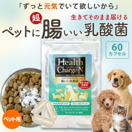 ペット用乳酸菌サプリ ヘルスチャージN 60カプセル【1755626】
