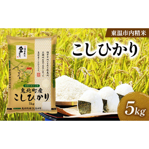 こしひかり 約5kg 東温市内精米 （鬼北町産生産者混合）数量限定 美味しい つや 高級  お米 5キロ 米 精米 白米 ブランド米 ご飯 ごはん 愛媛県 東温市