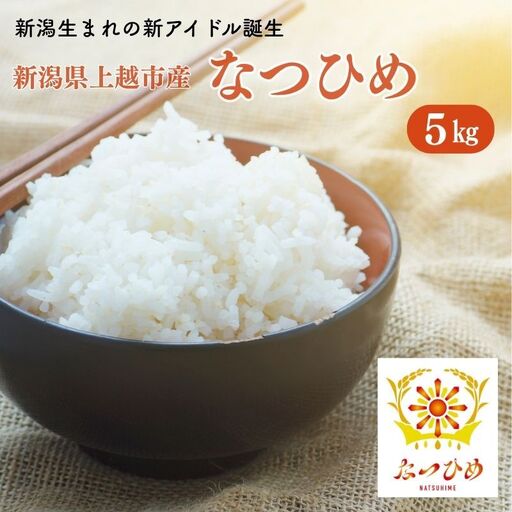 令和8年産 新米 新ブランド [なつひめ] 新潟県上越市産 5kg 5キロ 先行予約 新品種 蛍の里