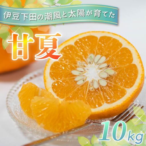 甘夏 10kg 先行予約 柑橘 みかん オレンジ あまなつ 静岡 伊豆 下田