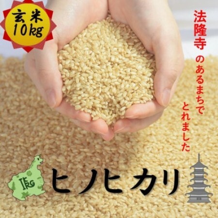 世界遺産「法隆寺」のあるまちで採れた玄米【ヒノヒカリ】10kg　令和7年産【1756406】