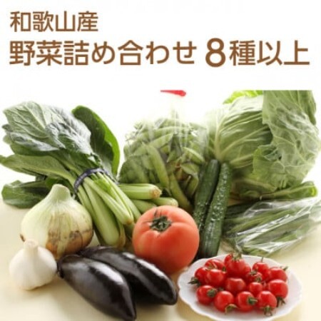 旬の新鮮野菜セット8種以上[野菜詰め合わせ][配送不可地域:離島]