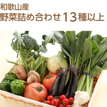 旬の新鮮野菜セット13種以上[配送不可地域:離島]