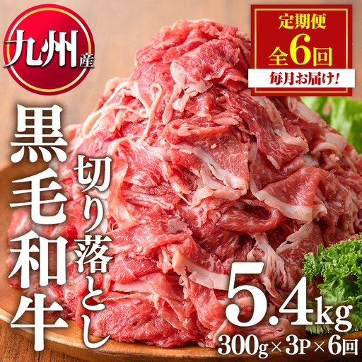 No.1376-B ＜定期便・全6回＞九州産 黒毛和牛切り落とし(総計5.4kg・300g×3P×6回) 牛肉 切落し 切り落し 和牛 冷凍 九州産 国産 小分け 国産牛 お肉 牛丼 野菜炒め カレー 定期便 冷凍 寄附額改定 小分け 【LRプラスK】