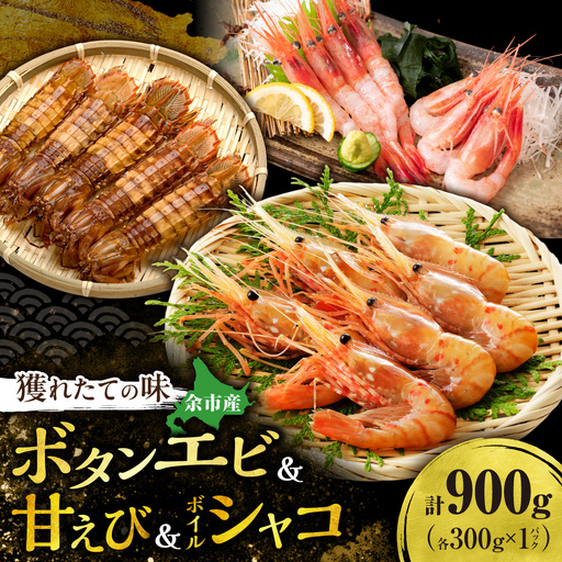 [獲れたての味!]ボタンエビ300g・甘エビ300g・ボイルシャコ300g 3種セット 獲れたて急速冷凍 北海道余市近海 海鮮 刺身用 詰め合わせ