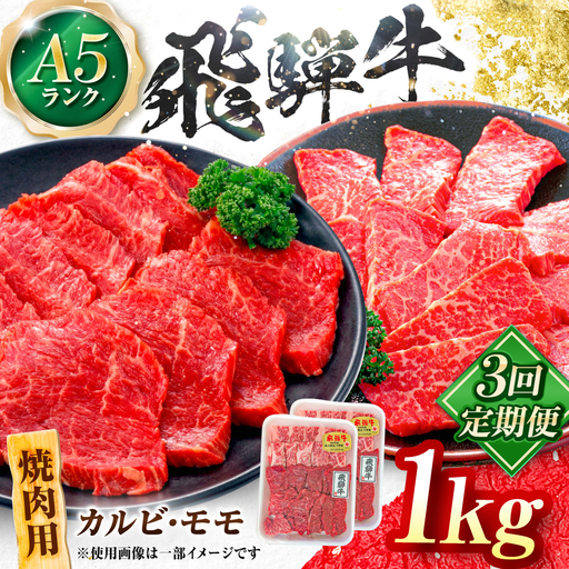 【3回定期便】飛騨牛 A5等級 焼肉用 カルビ・モモ 1kg 牛肉 肉 お肉 焼き肉 BBQ 岐阜市 / 肉の松久[ANIP030]