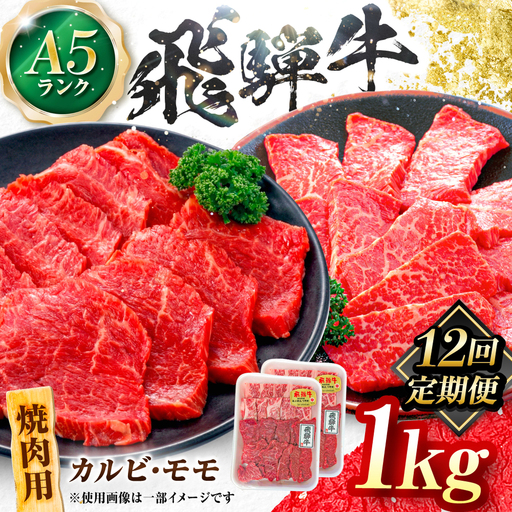【12回定期便】飛騨牛 A5等級 焼肉用 カルビ・モモ 1kg 牛肉 肉 お肉 焼き肉 BBQ 岐阜市 / 肉の松久[ANIP032]