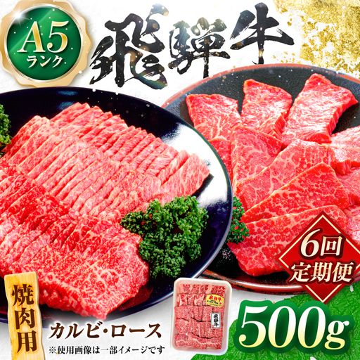 【6回定期便】飛騨牛 A5等級 焼肉用 カルビ・ロース 500g 牛肉 肉 お肉 焼き肉 BBQ 岐阜市 / 肉の松久[ANIP034]