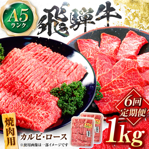 【6回定期便】飛騨牛 A5等級 焼肉用 カルビ・ロース 1kg 牛肉 肉 お肉 焼き肉 BBQ 岐阜市 / 肉の松久[ANIP037]