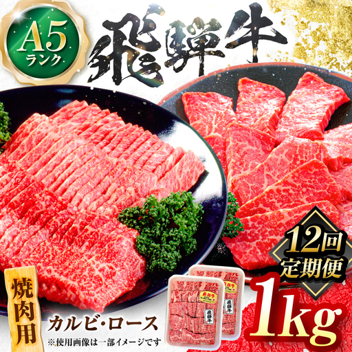 【12回定期便】飛騨牛 A5等級 焼肉用 カルビ・ロース 1kg 牛肉 肉 お肉 焼き肉 BBQ 岐阜市 / 肉の松久[ANIP038]