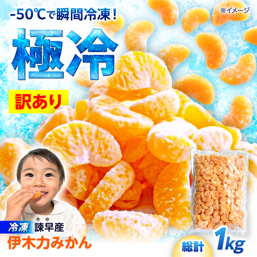 [訳あり]伊木力温州みかんの冷凍みかん 1kg / 伊木力 温州みかん みかん ミカン 冷凍みかん 冷凍ミカン 蜜柑 佐瀬 諫早 多良見 長崎 / 諫早市 / 末永果樹園[AHBD007]