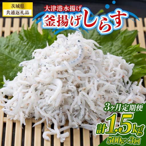 [3回 定期便]大津港水揚げの釜揚げしらす 500g(250g×2パック) (茨城県共通返礼品:北茨城市)