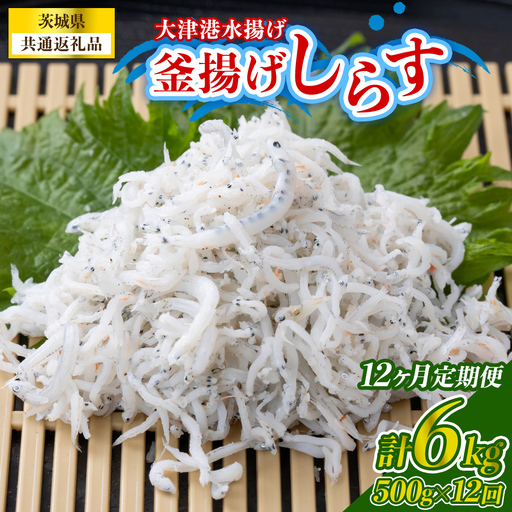 【12回定期便】大津港水揚げの釜揚げしらす 500g(250g×2パック) (茨城県共通返礼品:北茨城市) (BC022)