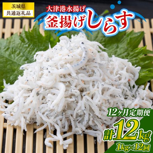 【12回定期便】大津港水揚げの釜揚げしらす 1kg(250g×2パック×2箱) (茨城県共通返礼品:北茨城市) (BC025)