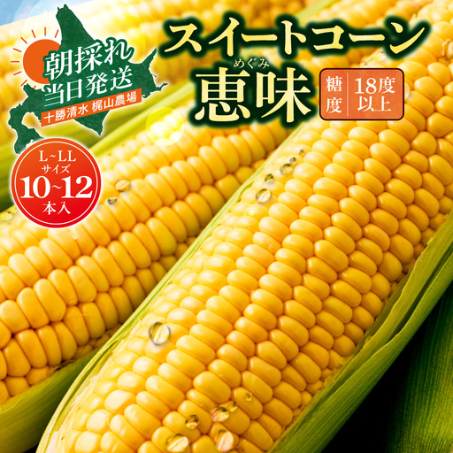 先行受付![2026年8月頃〜発送開始!]北海道十勝清水町産 とうもろこし 恵味 サイズ混合 10本 産地直送 スイートコーン 朝どれ ジューシー_S041