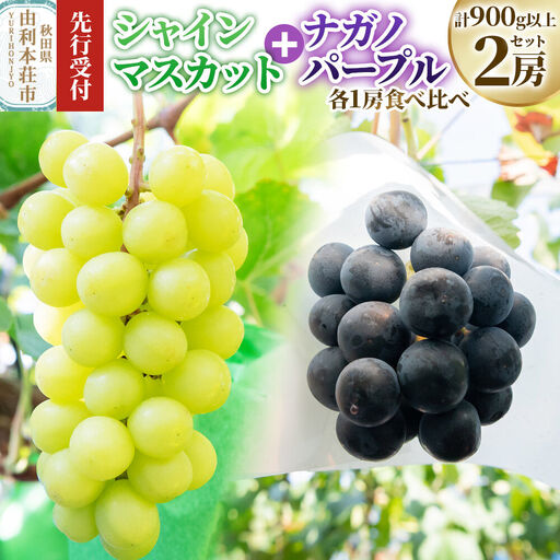 [先行受付]由利本荘市産 シャインマスカット、ナガノパープル 各1房(合計2房 900g以上)