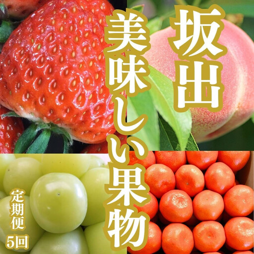 [全5回]坂出の美味しい果物定期便 四季折々の果物をお届けします