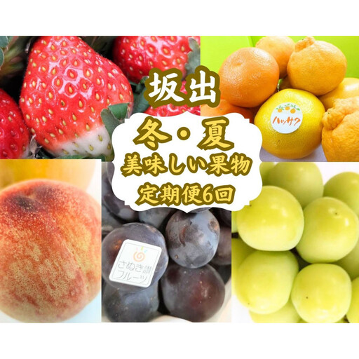 [全6回]坂出 冬・夏 美味しい果物定期便