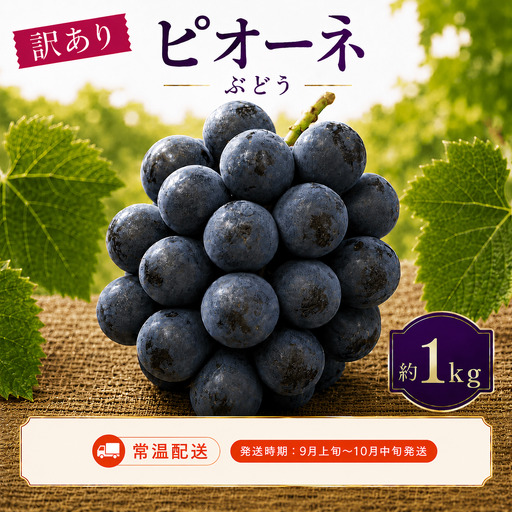 ＜訳あり＞ 家庭用ピオーネ 約1kg｜味はそのまま・ご家庭用におすすめ（常温配送）《9月上旬-10月中旬出荷予定》期間限定 フルーツ 果物 ぶどう ブドウ 神石高原町 広島県