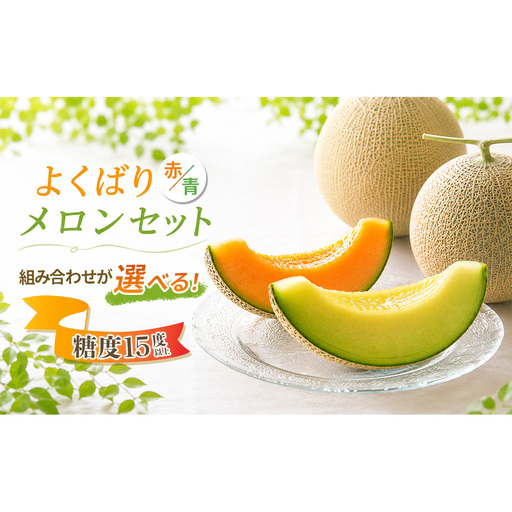糖度15度以上 !! 宇陀市産 選べる組み合わせ!よくばりメロン 計2玉(選べる青肉・赤肉)[令和8年産先行予約受付中 / 数量限定] / みやび農園 メロンセット 選べる 贈答 贈り物 食べ比べ 奈良県 宇陀市