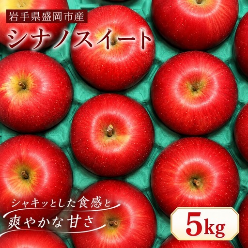 【10月発送】シナノスイート りんご 5kg（14～20玉） 北田りんご園 りんご kitada019
