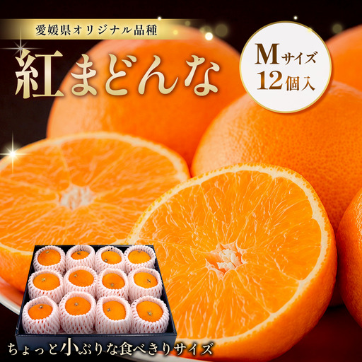 紅まどんな Mサイズ12個入|柑橘 まどんな[JA東園]
