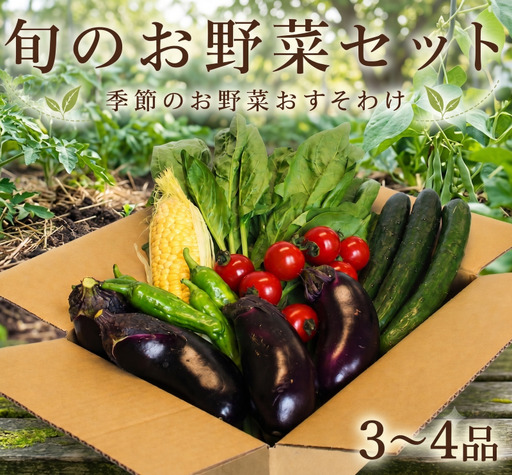 季節の野菜 詰め合わせ 3〜4品