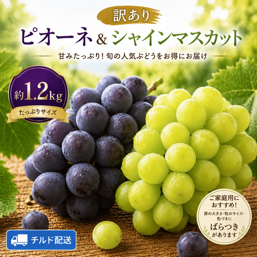 [訳あり] 家庭用ピオーネ&シャインマスカット 約1.2kg|味はそのまま・ご家庭用におすすめ(チルド配送)[9月中旬-10月下旬出荷予定]期間限定 フルーツ 果物 ぶどう ブドウ 神石高原町 広島県