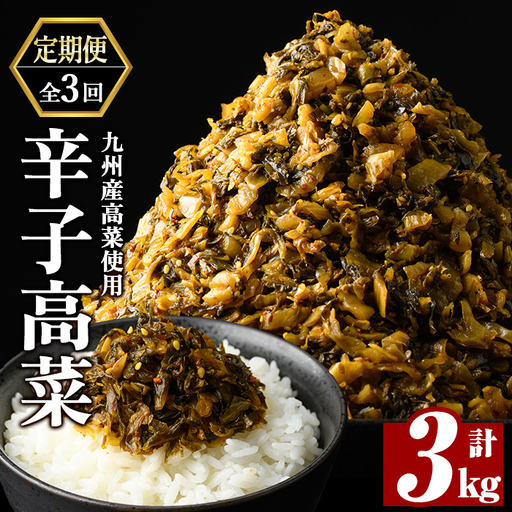 a568-C [3回定期便]九州産辛子高菜 計3kg(1kg×3回)[九州新進]姶良市 国産 九州産 たかな 漬物 漬け物 ご飯のお供 おかず おつまみ おにぎり 常温 常温保存 定期便
