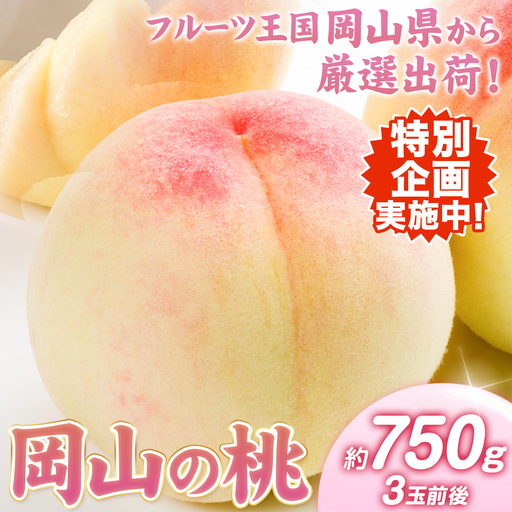 桃 岡山の 桃 約750g