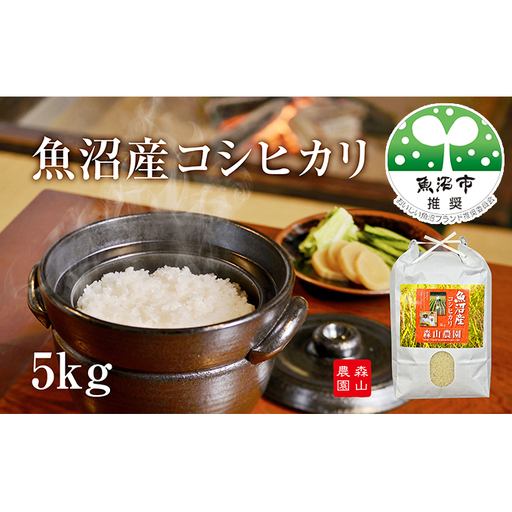[令和8年産 先行予約] 森山農園 魚沼産コシヒカリ 5kg