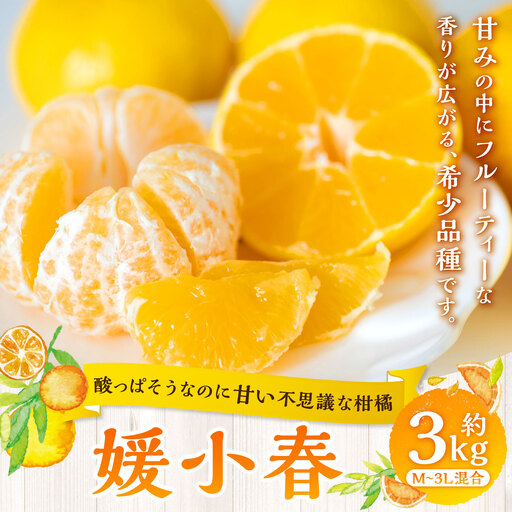 【 酸っぱそうなのに甘い不思議な柑橘 】 媛小春 約3kg みかん ミカン 柑橘 柑橘系 柑橘類 くだもの 果物 フルーツ 果実 果汁 果肉 国産 愛媛県産 薄皮 【 2027年1月下旬～3月下旬発送予定 】 ( 1085 )