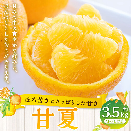 [ ほろ苦さとさっぱりした甘さ ] 甘夏 約3.5kg みかん ミカン 柑橘 柑橘系 柑橘類 くだもの 果物 フルーツ 果実 果汁 果肉 国産 愛媛県産 [ 2027年3月上旬〜4月下旬発送予定 ] ( 1091 )
