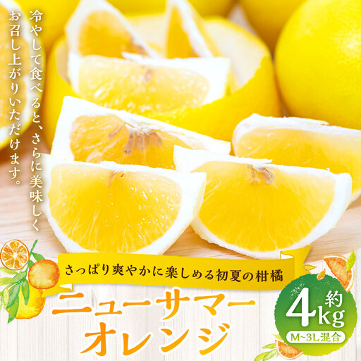 [ さっぱり爽やかに楽しめる初夏の柑橘 ] ニューサマーオレンジ 約4kg オレンジ おれんじ 柑橘 柑橘系 柑橘類 みかん ミカン くだもの 果物 フルーツ 果実 果汁 果肉 国産 愛媛県産 [ 2027年4月上旬〜5月下旬発送予定 ] ( 1066 )