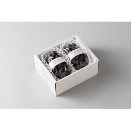 [発送月固定定期便]ニューピオーネとシャインマスカット 約1kg(2〜3房)全2回[配送不可地域:離島]