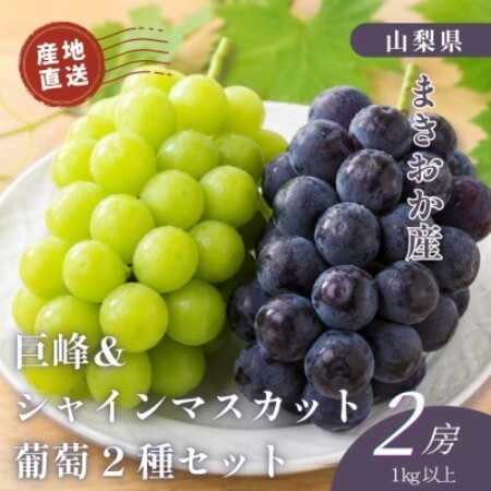 山梨県まきおか産　巨峰・シャインマスカット　葡萄2種セット【配送不可地域：離島・沖縄県】【1756896】