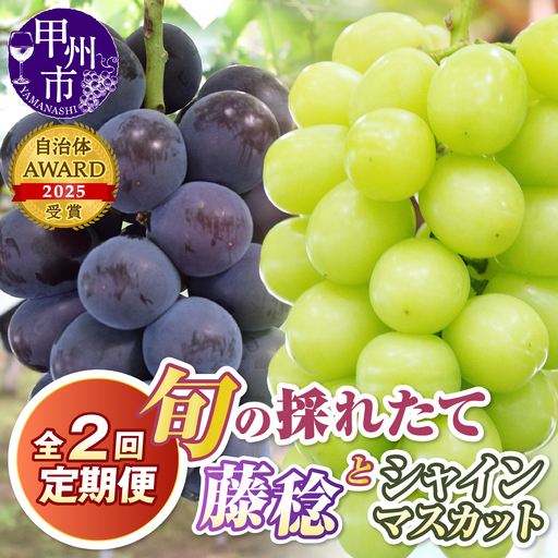 [定期便]旬の採れたて2回定期便(藤稔・シャインマスカット)[2027年発送](HO)B19-410 藤稔 シャインマスカット フルーツ
